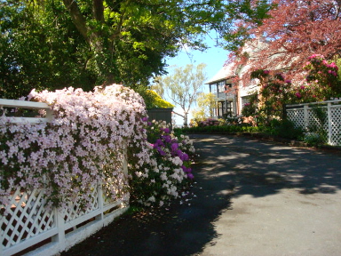 Dunedin 30 Heriot Row garden and driveway to Apartments